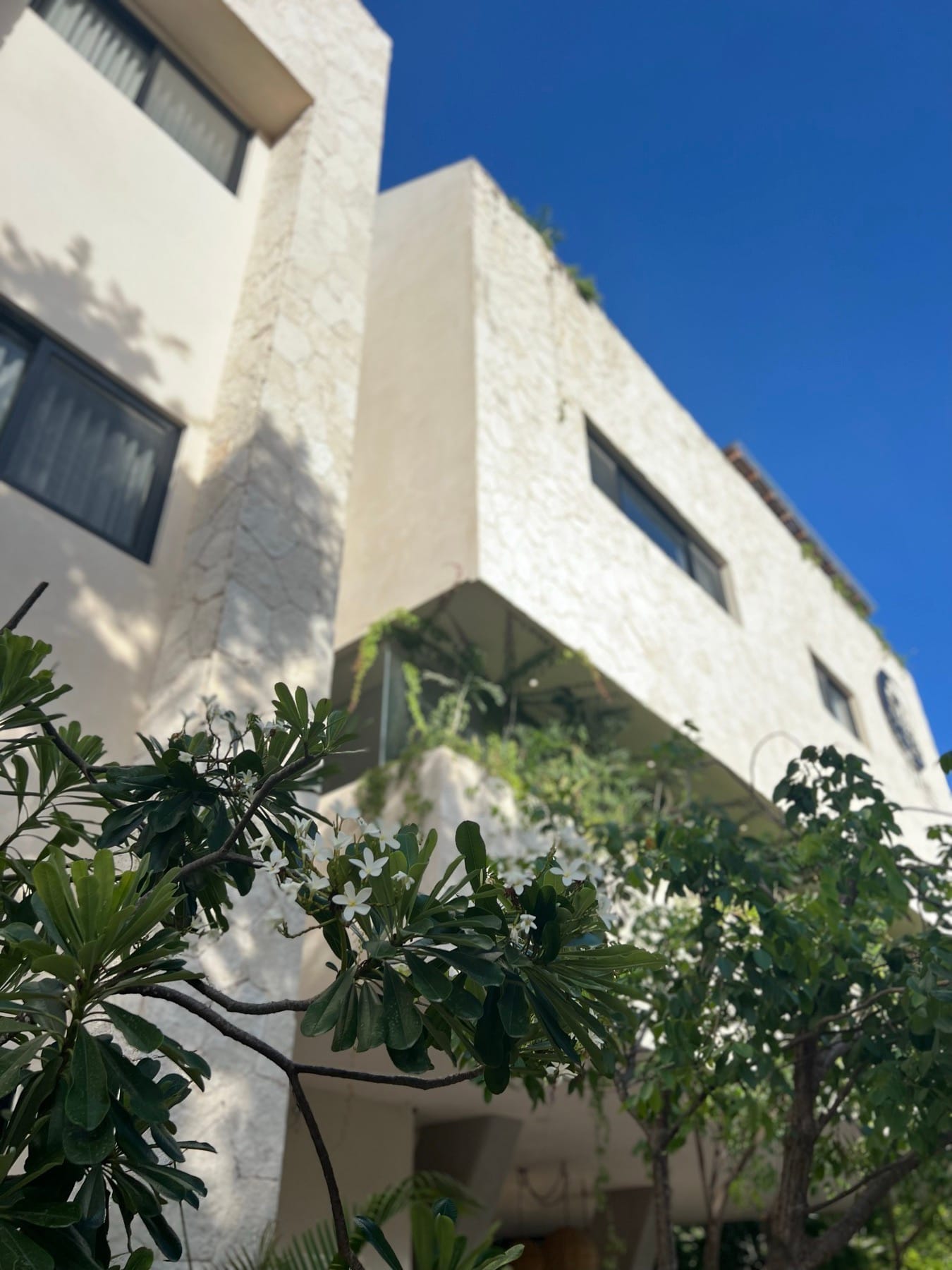 A three-story residence in Aldea Zamá framed by palm and plumeria — the restrained limestone-and-white-stucco vocabulary that defines the neighborhood