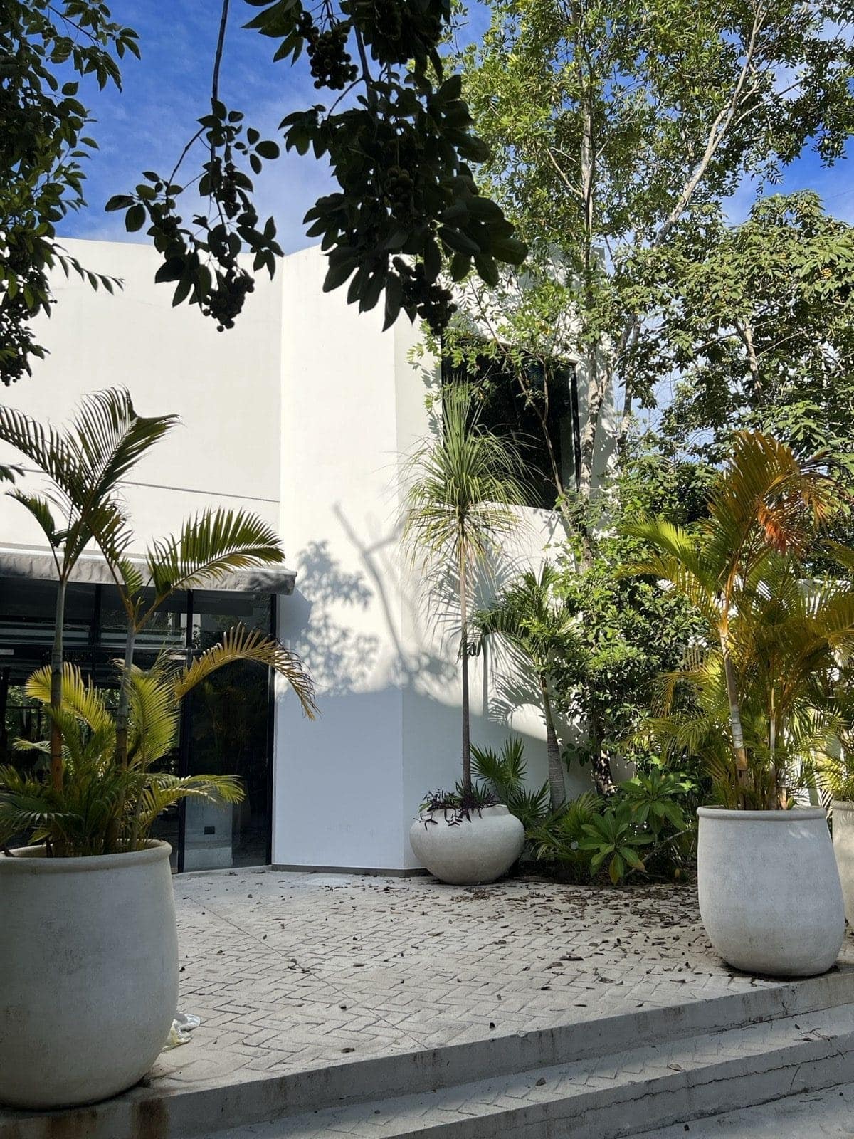 A residence with generous balconies framed by jasmine and plumeria in bloom — the jungle kept in reserve between buildings rather than cleared for them