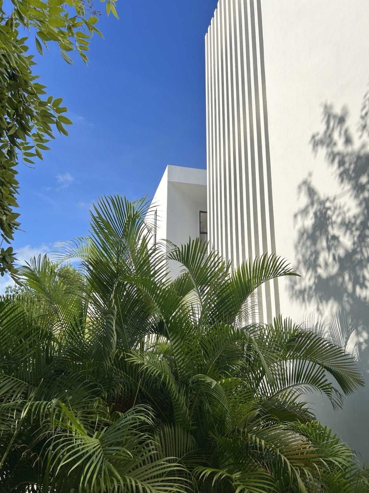 A colonnaded white façade in Aldea Zamá emerging from palm fronds — the narrow architectural vocabulary that registers as coherent rather than monotonous