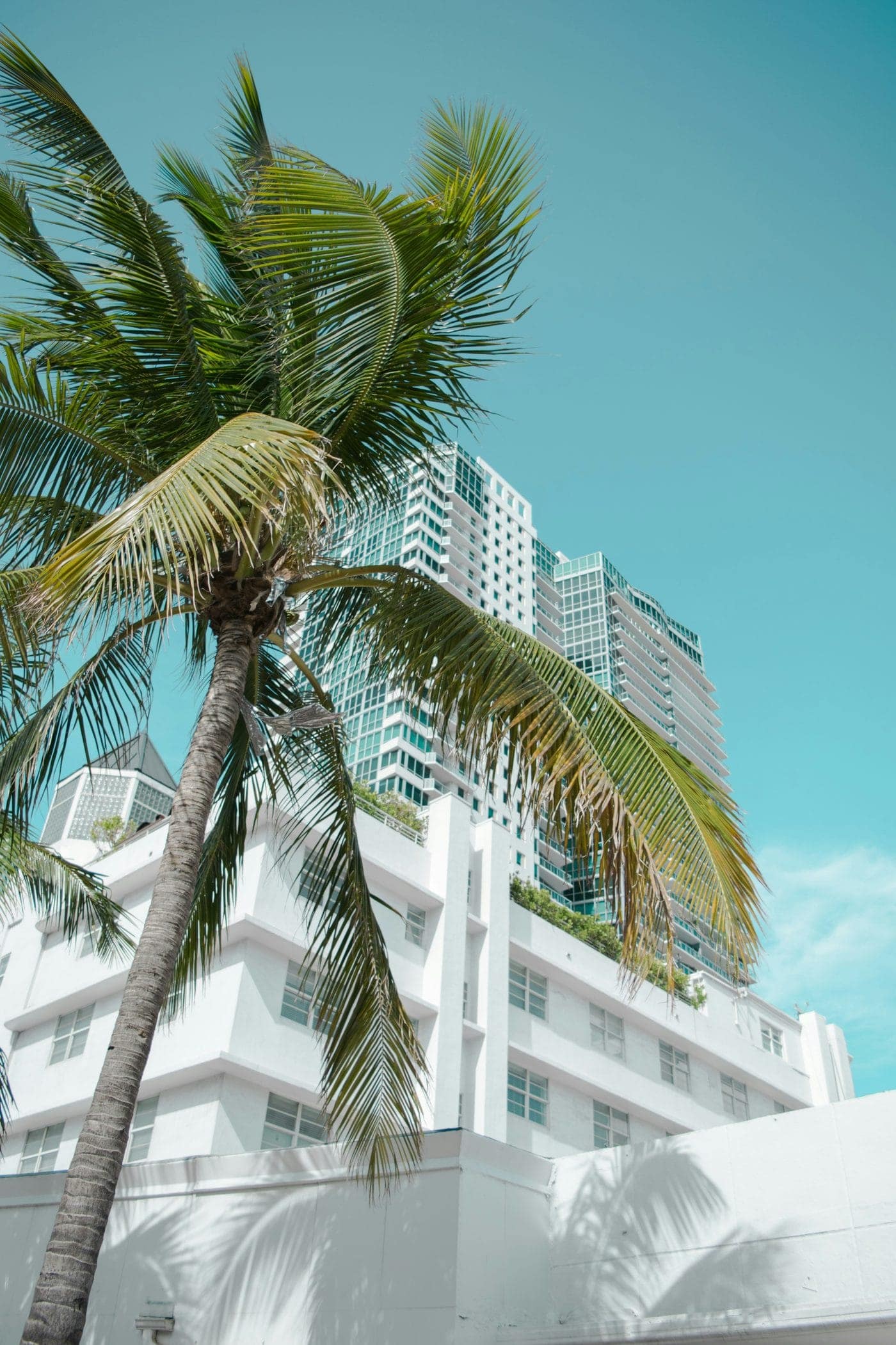 Vacation rentals in Miami